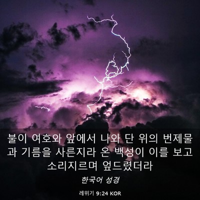 Picture 03 - 레위기 9:24 KOR - 불이 여호와 앞에서 나와 단 위의 - Bible Verse Picture