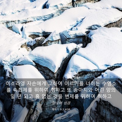 Picture 03 - 레위기 9:3 KOR - 이스라엘 자손에게 고하여 이르기를 - Bible Verse Picture