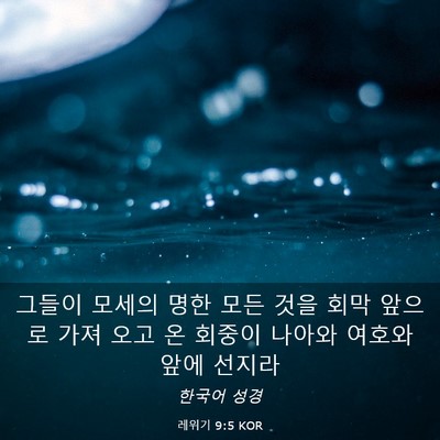 Picture 03 - 레위기 9:5 KOR - 그들이 모세의 명한 모든 것을 회막 - Bible Verse Picture