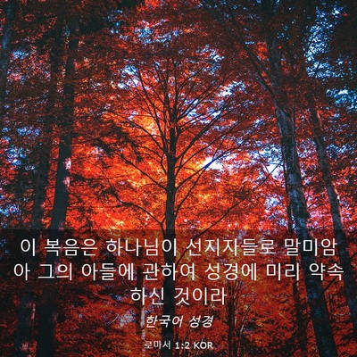 Picture 03 - 로마서 1:2 KOR - 이 복음은 하나님이 선지자들로 - Bible Verse Picture