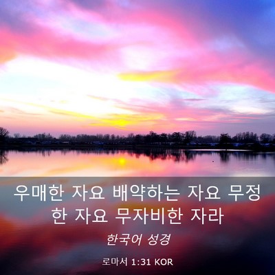 Picture 03 - 로마서 1:31 KOR - 우매한 자요 배약하는 자요 무정한 - Bible Verse Picture