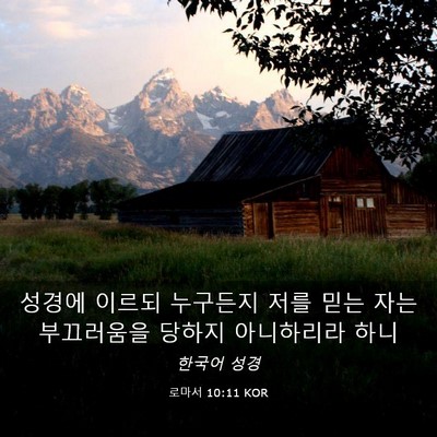 Picture 03 - 로마서 10:11 KOR - 성경에 이르되 누구든지 저를 믿는 - Bible Verse Picture