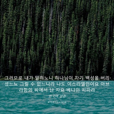 Picture 03 - 로마서 11:1 KOR - 그러므로 내가 말하노니 하나님이 - Bible Verse Picture