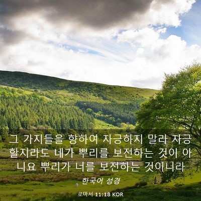 Picture 03 - 로마서 11:18 KOR - 그 가지들을 향하여 자긍하지 말라 - Bible Verse Picture