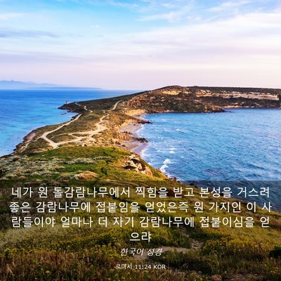 Picture 03 - 로마서 11:24 KOR - 네가 원 돌감람나무에서 찍힘을 받고 - Bible Verse Picture