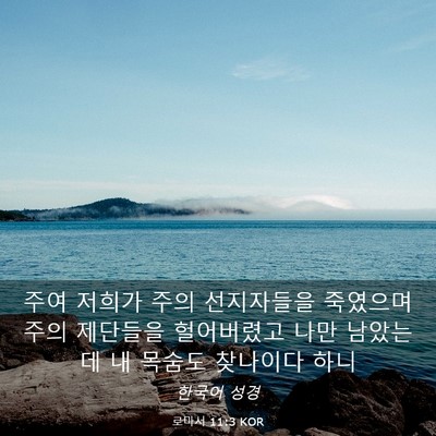 Picture 03 - 로마서 11:3 KOR - 주여 저희가 주의 선지자들을 - Bible Verse Picture