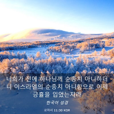 Picture 03 - 로마서 11:30 KOR - 너희가 전에 하나님께 순종치 - Bible Verse Picture