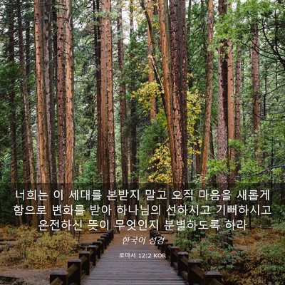 Picture 03 - 로마서 12:2 KOR - 너희는 이 세대를 본받지 말고 오직 - Bible Verse Picture