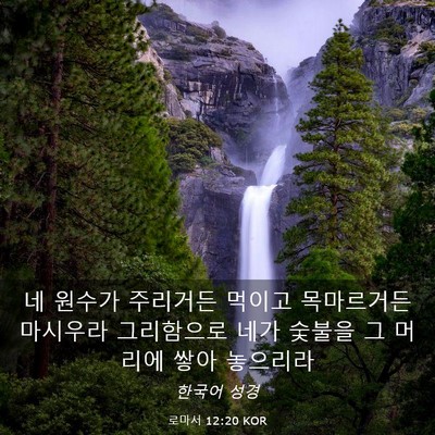Picture 03 - 로마서 12:20 KOR - 네 원수가 주리거든 먹이고 - Bible Verse Picture