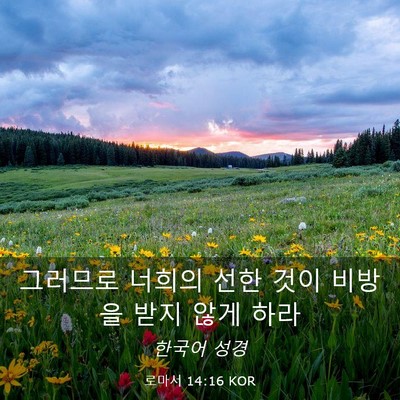 Picture 03 - 로마서 14:16 KOR - 그러므로 너희의 선한 것이 비방을 - Bible Verse Picture