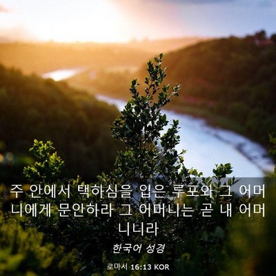 Picture 03 - 로마서 16:13 KOR - 주 안에서 택하심을 입은 루포와 그 - Bible Verse Picture