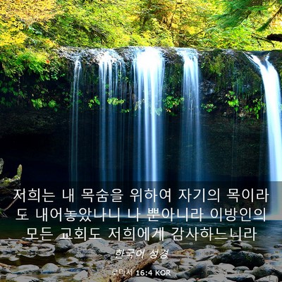Picture 03 - 로마서 16:4 KOR - 저희는 내 목숨을 위하여 자기의 - Bible Verse Picture