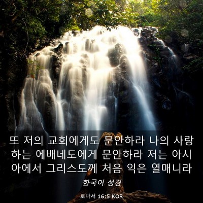Picture 03 - 로마서 16:5 KOR - 또 저의 교회에게도 문안하라 나의 - Bible Verse Picture