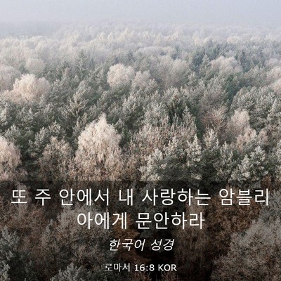 Picture 03 - 로마서 16:8 KOR - 또 주 안에서 내 사랑하는 - Bible Verse Picture