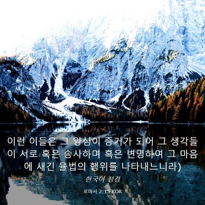 Picture 03 - 로마서 2:15 KOR - 이런 이들은 그 양심이 증거가 되어 - Bible Verse Picture