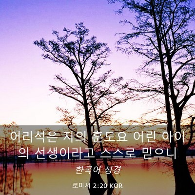 Picture 03 - 로마서 2:20 KOR - 어리석은 자의 훈도요 어린 아이의 - Bible Verse Picture