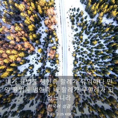 Picture 03 - 로마서 2:25 KOR - 네가 율법을 행한즉 할례가 유익하나 - Bible Verse Picture