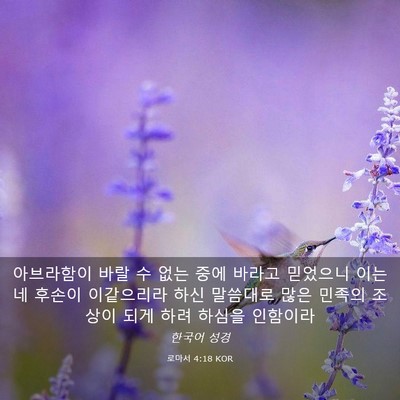 Picture 03 - 로마서 4:18 KOR - 아브라함이 바랄 수 없는 중에 - Bible Verse Picture