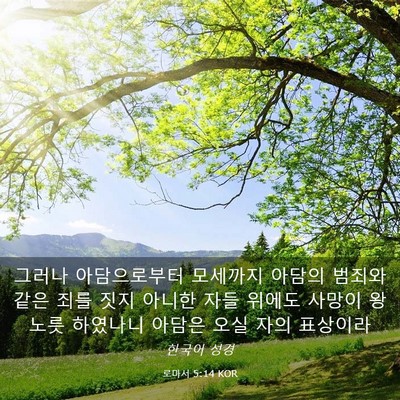 Picture 03 - 로마서 5:14 KOR - 그러나 아담으로부터 모세까지 - Bible Verse Picture