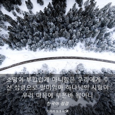 Picture 03 - 로마서 5:5 KOR - 소망이 부끄럽게 아니함은 우리에게 - Bible Verse Picture