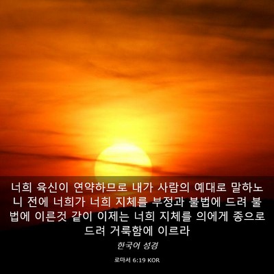Picture 03 - 로마서 6:19 KOR - 너희 육신이 연약하므로 내가 사람의 - Bible Verse Picture