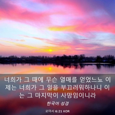 Picture 03 - 로마서 6:21 KOR - 너희가 그 때에 무슨 열매를 - Bible Verse Picture