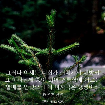 Picture 03 - 로마서 6:22 KOR - 그러나 이제는 너희가 죄에게서 - Bible Verse Picture