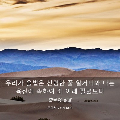 Picture 03 - 로마서 7:14 KOR - 우리가 율법은 신령한 줄 알거니와 - Bible Verse Picture