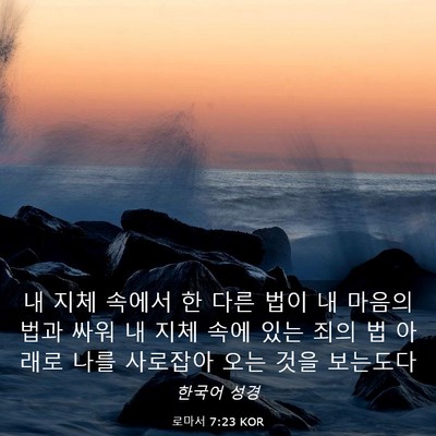 Picture 03 - 로마서 7:23 KOR - 내 지체 속에서 한 다른 법이 내 - Bible Verse Picture