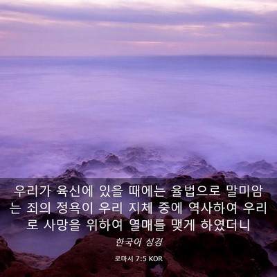 Picture 03 - 로마서 7:5 KOR - 우리가 육신에 있을 때에는 율법으로 - Bible Verse Picture