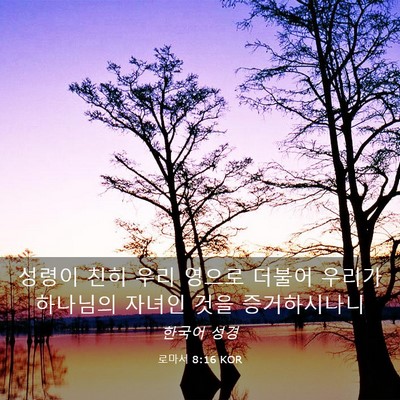 Picture 03 - 로마서 8:16 KOR - 성령이 친히 우리 영으로 더불어 - Bible Verse Picture