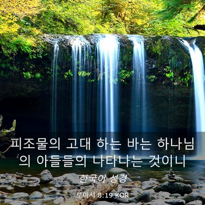 Picture 03 - 로마서 8:19 KOR - 피조물의 고대 하는 바는 하나님의 - Bible Verse Picture