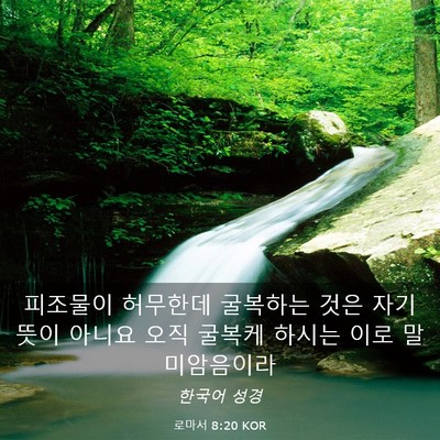 Picture 03 - 로마서 8:20 KOR - 피조물이 허무한데 굴복하는 것은 - Bible Verse Picture