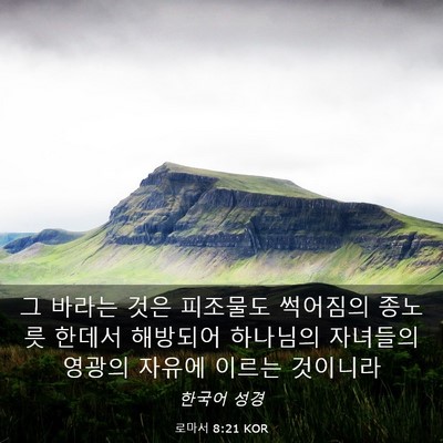 Picture 03 - 로마서 8:21 KOR - 그 바라는 것은 피조물도 썩어짐의 - Bible Verse Picture