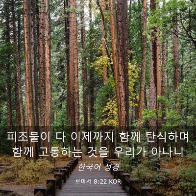 Picture 03 - 로마서 8:22 KOR - 피조물이 다 이제까지 함께 탄식하며 - Bible Verse Picture