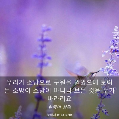 Picture 03 - 로마서 8:24 KOR - 우리가 소망으로 구원을 얻었으매 - Bible Verse Picture