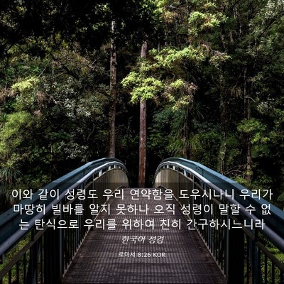 Picture 03 - 로마서 8:26 KOR - 이와 같이 성령도 우리 연약함을 - Bible Verse Picture