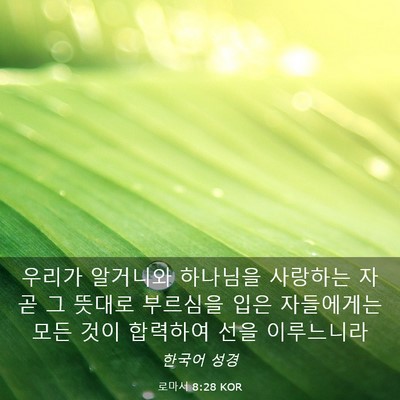 Picture 03 - 로마서 8:28 KOR - 우리가 알거니와 하나님을 사랑하는 - Bible Verse Picture