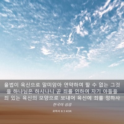 Picture 03 - 로마서 8:3 KOR - 율법이 육신으로 말미암아 연약하여 - Bible Verse Picture