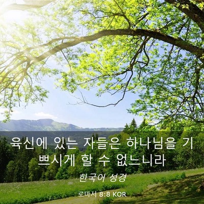 Picture 03 - 로마서 8:8 KOR - 육신에 있는 자들은 하나님을 - Bible Verse Picture