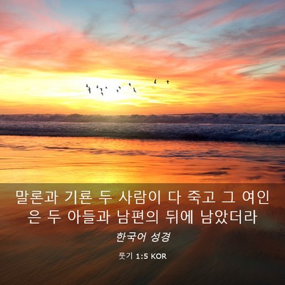 Picture 03 - 룻기 1:5 KOR - 말론과 기룐 두 사람이 다 죽고 그 - Bible Verse Picture