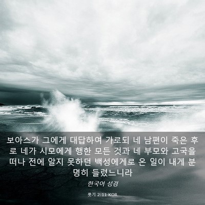 Picture 03 - 룻기 2:11 KOR - 보아스가 그에게 대답하여 가로되 네 - Bible Verse Picture