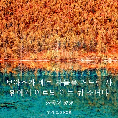 Picture 03 - 룻기 2:5 KOR - 보아스가 베는 자들을 거느린 - Bible Verse Picture