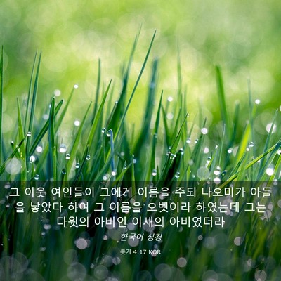 Picture 03 - 룻기 4:17 KOR - 그 이웃 여인들이 그에게 이름을 - Bible Verse Picture