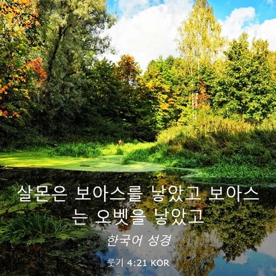Picture 03 - 룻기 4:21 KOR - 살몬은 보아스를 낳았고 보아스는 - Bible Verse Picture