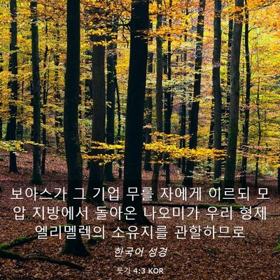 Picture 03 - 룻기 4:3 KOR - 보아스가 그 기업 무를 자에게 - Bible Verse Picture