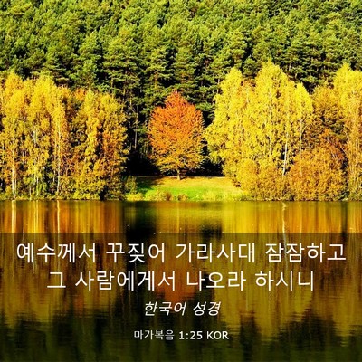 Picture 03 - 마가복음 1:25 KOR - 예수께서 꾸짖어 가라사대 잠잠하고 - Bible Verse Picture