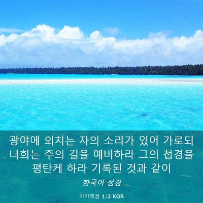 Picture 03 - 마가복음 1:3 KOR - 광야에 외치는 자의 소리가 있어 - Bible Verse Picture