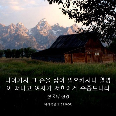 Picture 03 - 마가복음 1:31 KOR - 나아가사 그 손을 잡아 일으키시니 - Bible Verse Picture