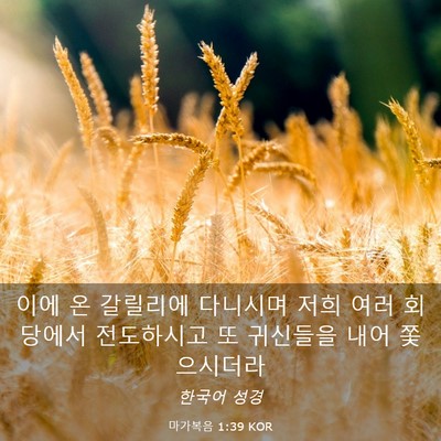 Picture 03 - 마가복음 1:39 KOR - 이에 온 갈릴리에 다니시며 저희 - Bible Verse Picture